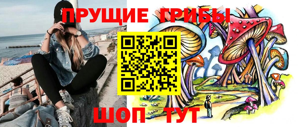 Шебекино  Галлюциногенные грибы MAGIC MUSHROOMS  Галлюциногенные грибы Magic Shrooms  Вход с VPN 