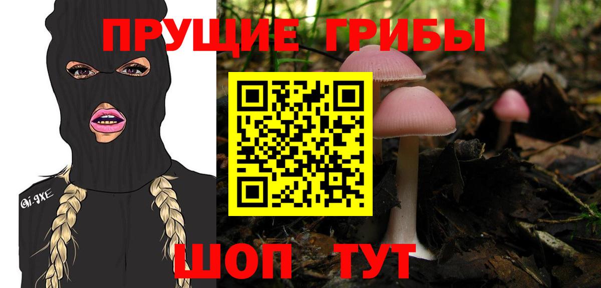 Галлюциногенные грибы мицелий Шебекино